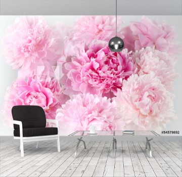 Picture of Floral background of pink peonies varieties Albert Kruss